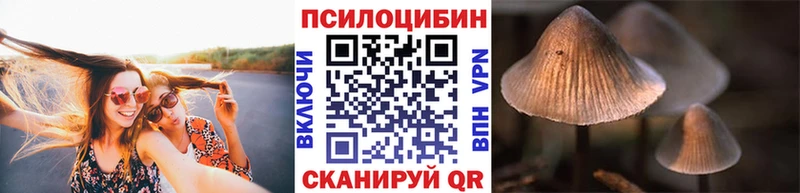 как найти закладки Углегорск Галлюциногенные грибы Psilocybe